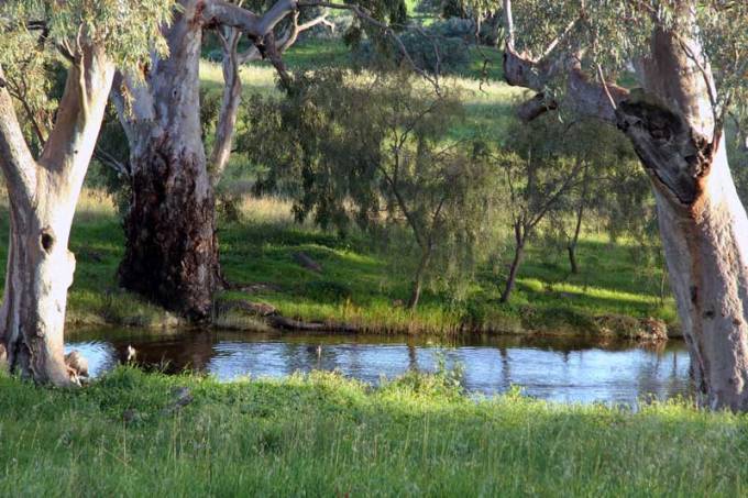 The Rocky River Narridy